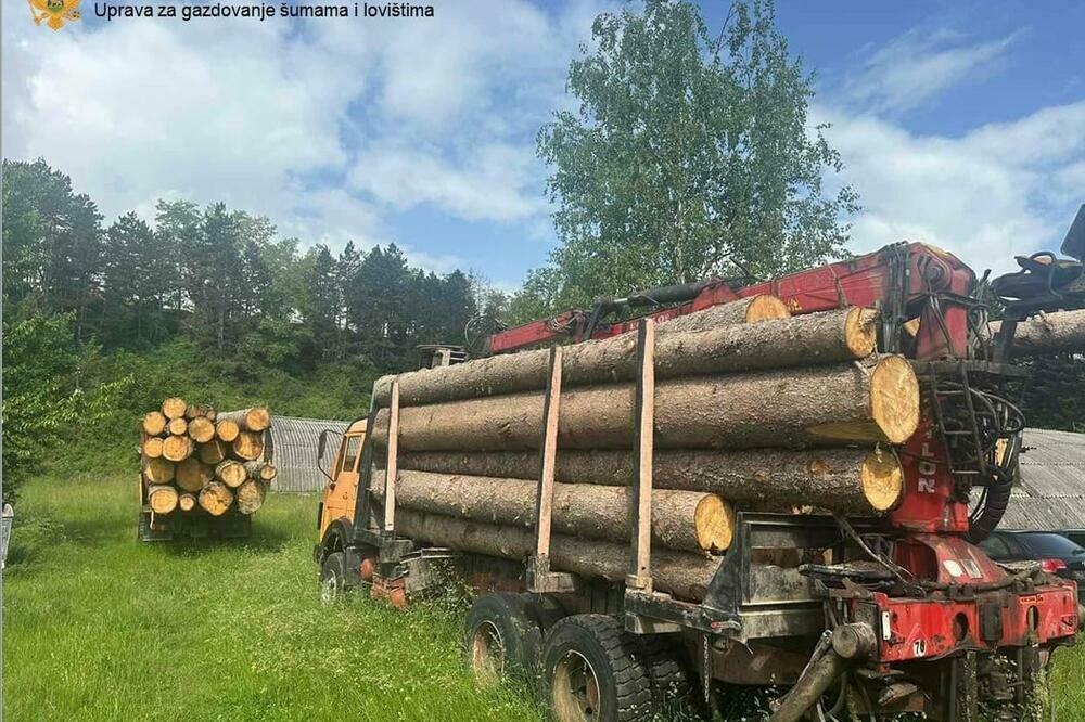 Zahvaljujući tajnim kamerama otkrivena dva kamiona, Foto: Uprava