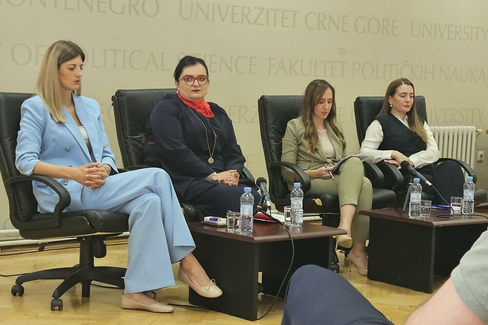 Juče na diskusiji na Nacrt strategije o deinstitucionalizaciji, Foto: Damira Kalač