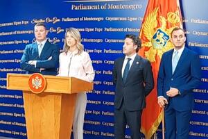 Novaković Đurović: Posjeta Mišela otkazana zbog poteza Vlade i...