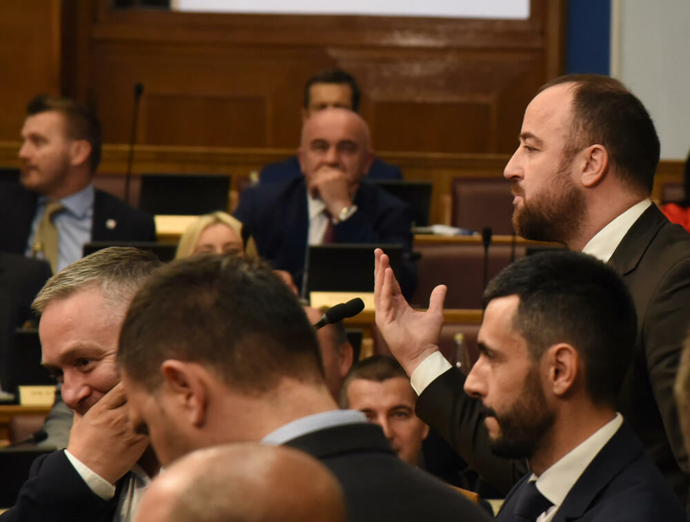 <p>Mandić je pokušao da održi Skupštinu, ali poslanici DPS-a ne dozvoljavaju</p>