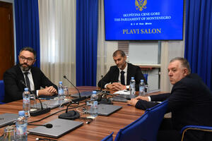 Odbor dao pozitivno mišljenje o imenovanju Fuštića, Tufegdžića i...