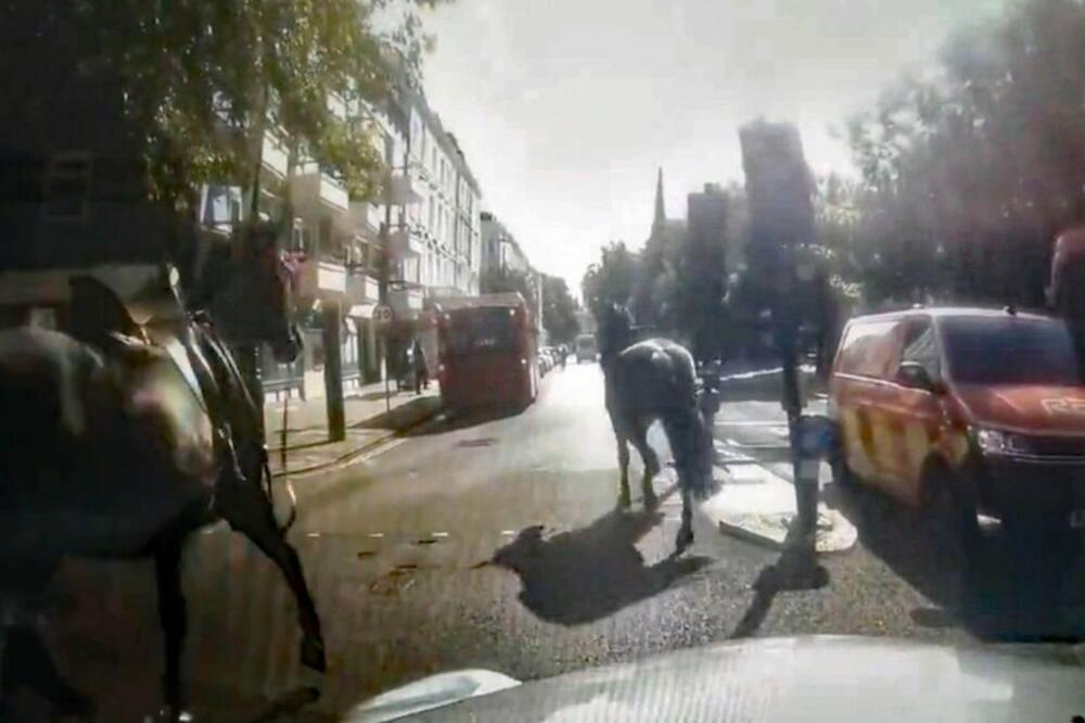 Konji su drugi put jurili ulicama Londona u 2024., Foto: @Davenoisome/PA Media