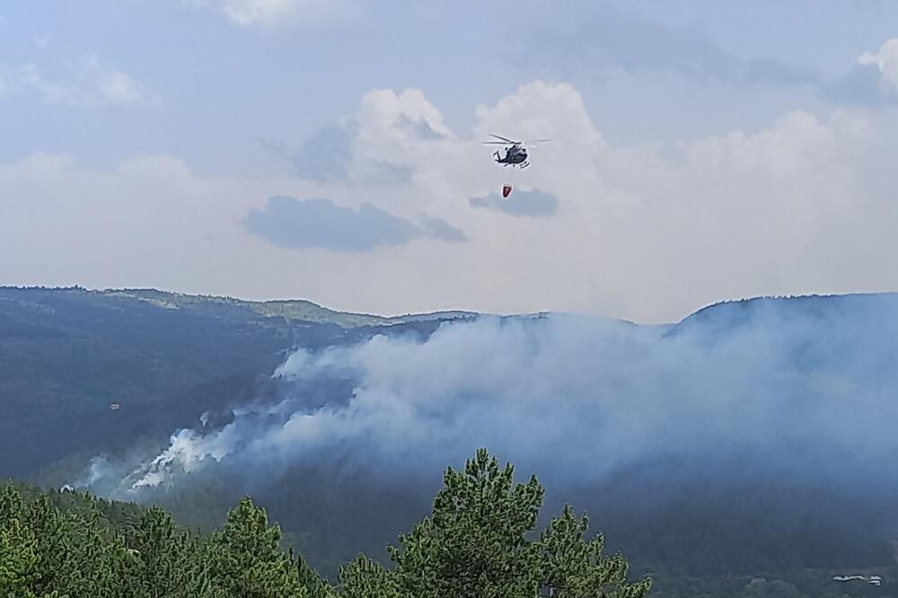 Požar na brdu Golubinja izbio je 23. juna, Foto: Goran Malidžan