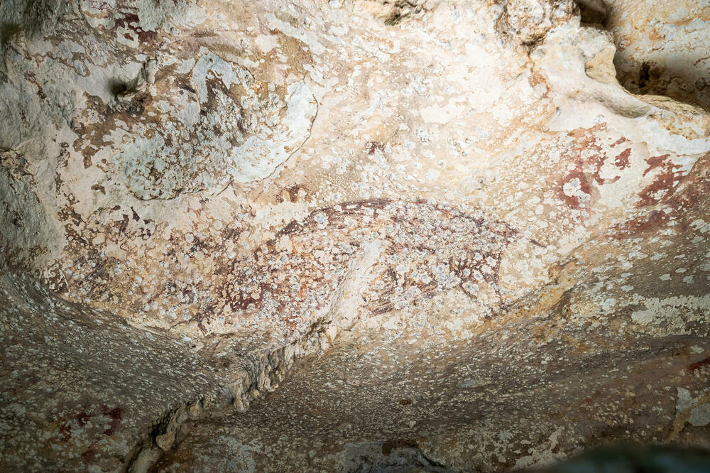 Scena naslikana prije više od 51.000 godina, Foto: Reuters