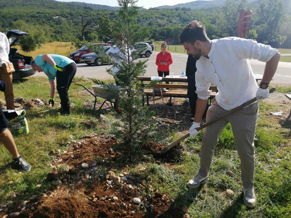 <p>"Posadili smo 11 stabala čempresa kao znak simbolike, jer je u akciji učesće uzelo 11 aktera, a riječ je o vrsti drveća koja može da opstane na ovom prostoru", kazao je Duško Marković, direktor "Medija tima"</p>