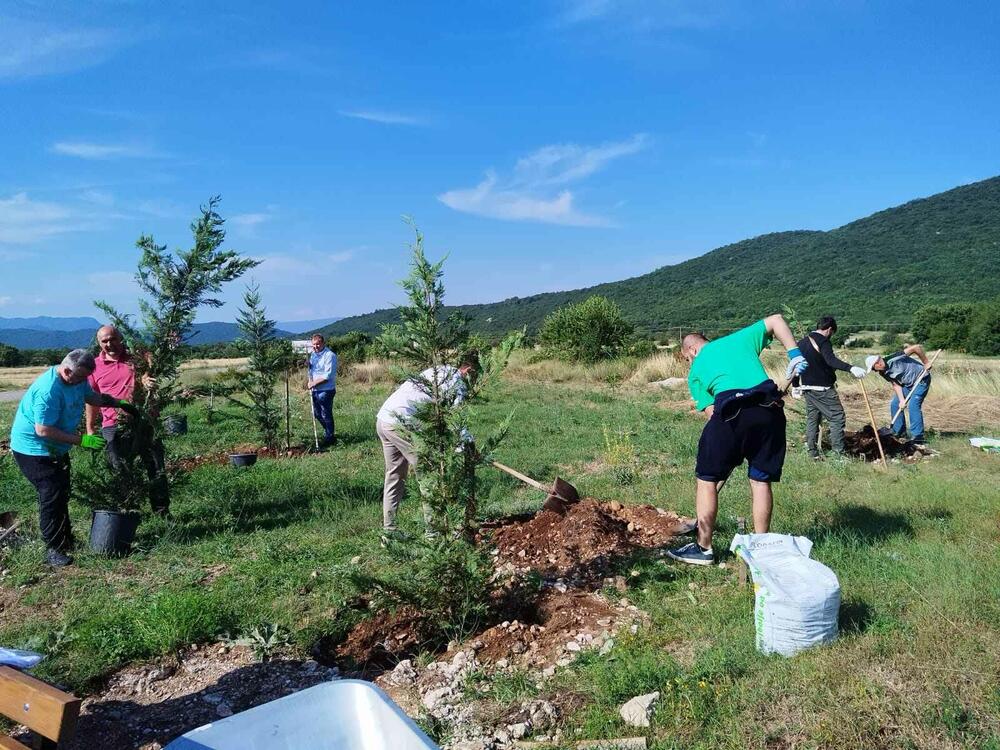 <p>"Posadili smo 11 stabala čempresa kao znak simbolike, jer je u akciji učesće uzelo 11 aktera, a riječ je o vrsti drveća koja može da opstane na ovom prostoru", kazao je Duško Marković, direktor "Medija tima"</p>