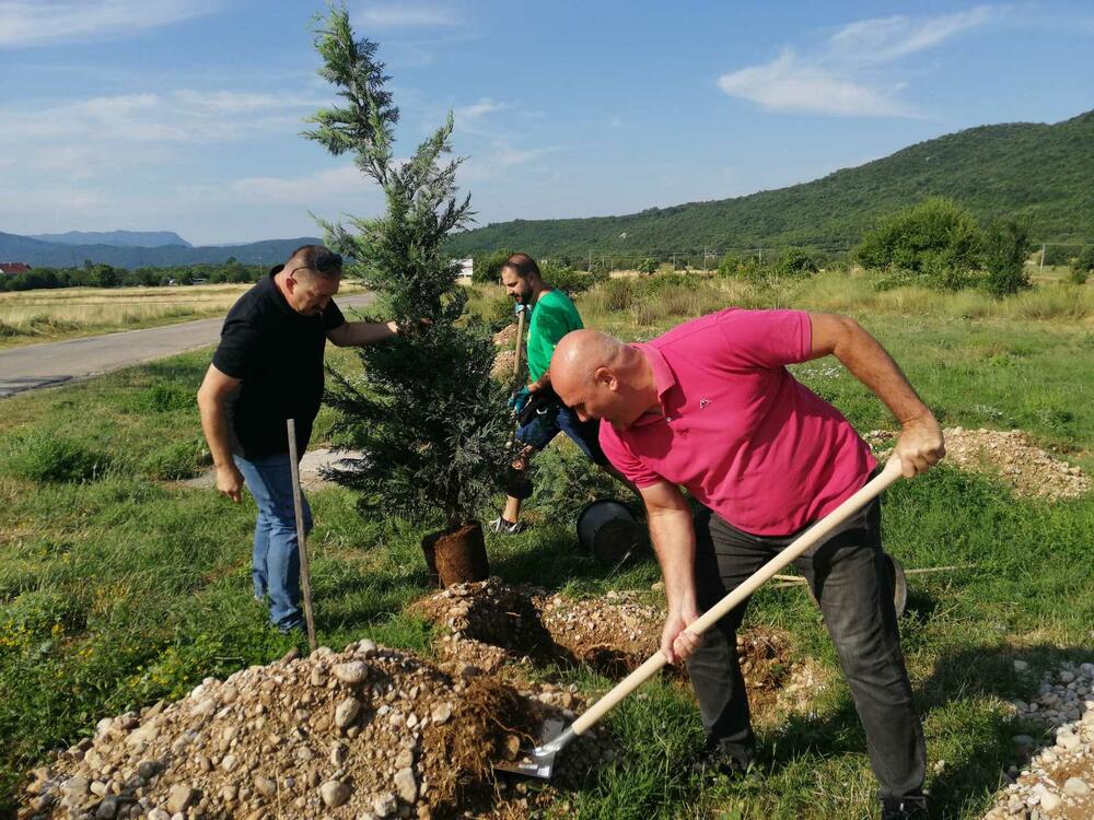 <p>"Posadili smo 11 stabala čempresa kao znak simbolike, jer je u akciji učesće uzelo 11 aktera, a riječ je o vrsti drveća koja može da opstane na ovom prostoru", kazao je Duško Marković, direktor "Medija tima"</p>