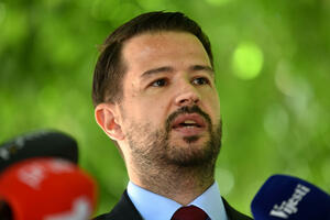 Milatović: Začuđen sam odnosom određenih partija prema evropskoj...