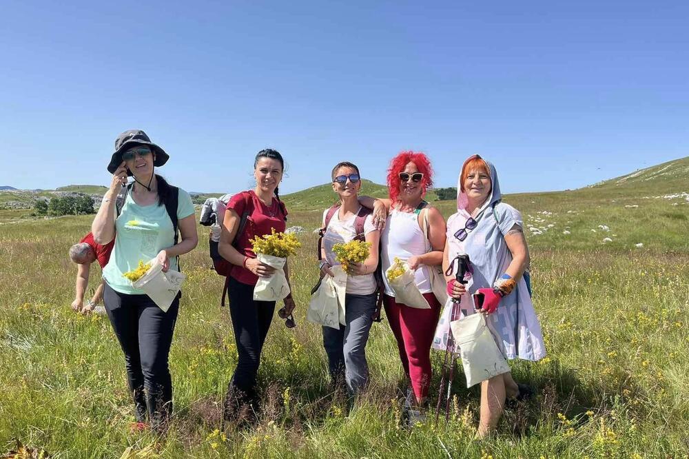 Sa događaja "Dodirni prirodu kroz ljekovito bilje", Foto: NVU Putevima predaka