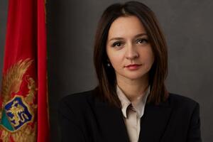 Armenko za "Vijesti" o prioritetima u radu Ustavnog suda:...