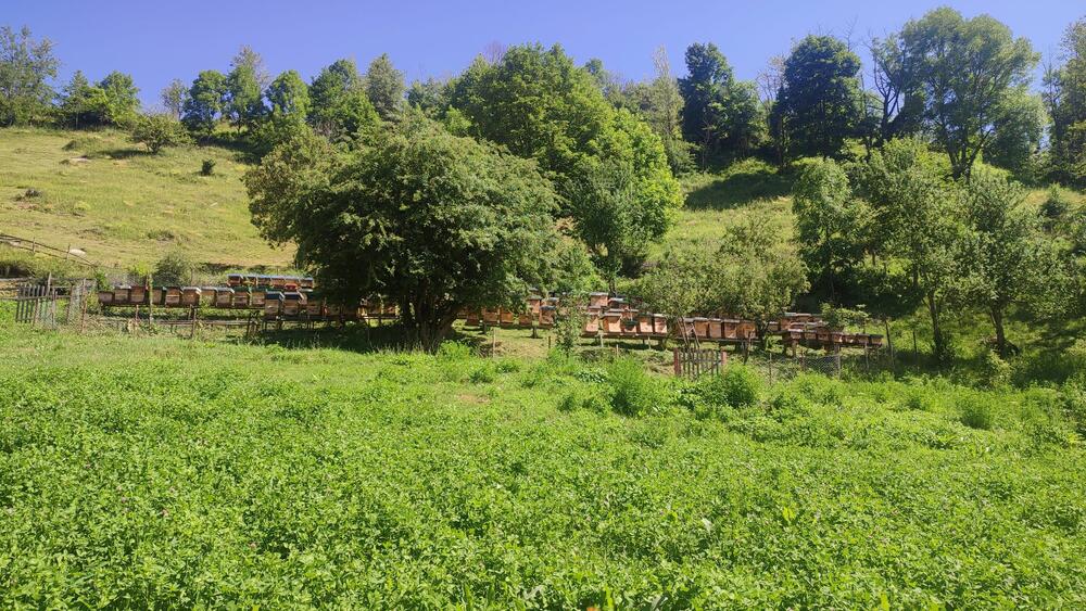 <p>Đorđe Bajagić iz Plužina zna samo za petice, bavi se pčelarstvom, lovom, planinari, igra folklor i drži zdravice</p>