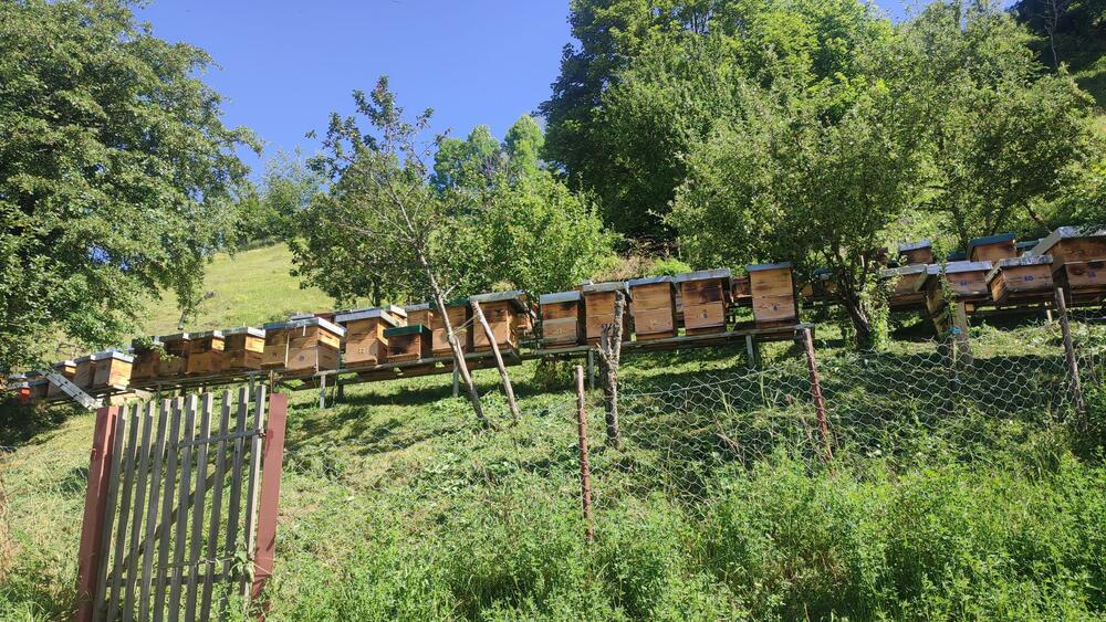 <p>Đorđe Bajagić iz Plužina zna samo za petice, bavi se pčelarstvom, lovom, planinari, igra folklor i drži zdravice</p>