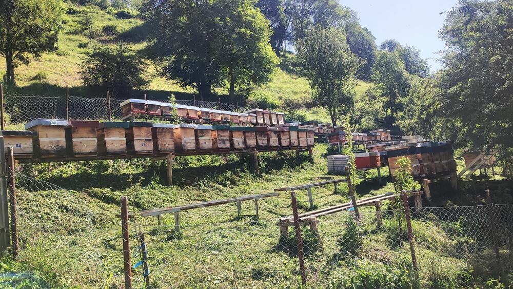 <p>Đorđe Bajagić iz Plužina zna samo za petice, bavi se pčelarstvom, lovom, planinari, igra folklor i drži zdravice</p>