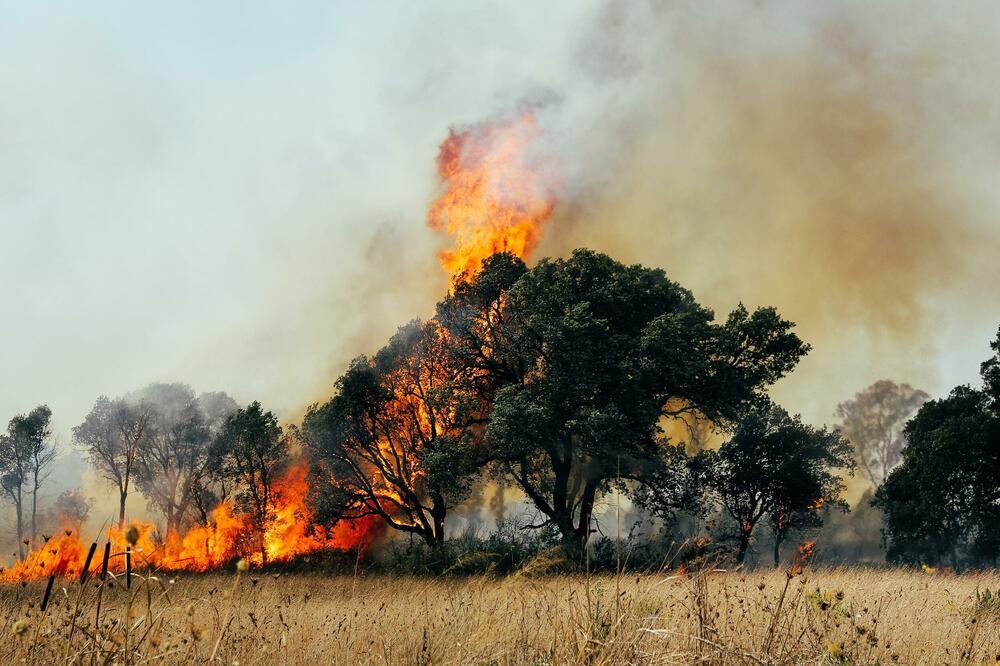 Ilustracija, Foto: Shutterstock