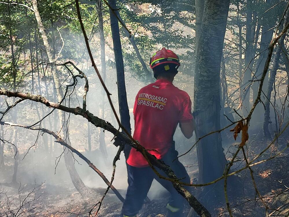 Sa jedne od intervencija u crnogorskim šumama