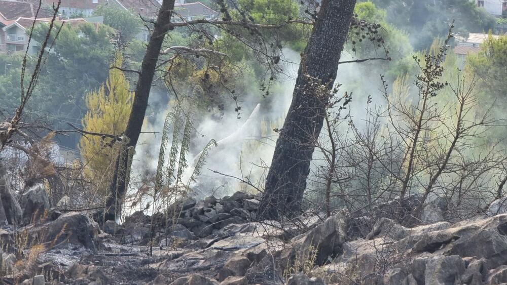 <p>Tokom gašenja požara, koji je najvjerovatnije izazvao vatromet, lakše povrijeđena dva muškarca</p>