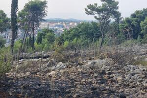 Milatović osudio podmetanje požara na Gorici