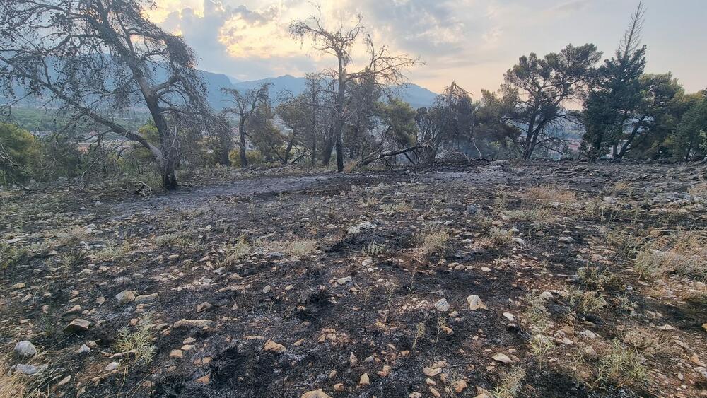 <p>Tokom gašenja požara, koji je najvjerovatnije izazvao vatromet, lakše povrijeđena dva muškarca</p>