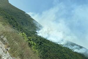 Požar između Budve i Cetinja - naselja nisu ugrožena, vatru gasio...