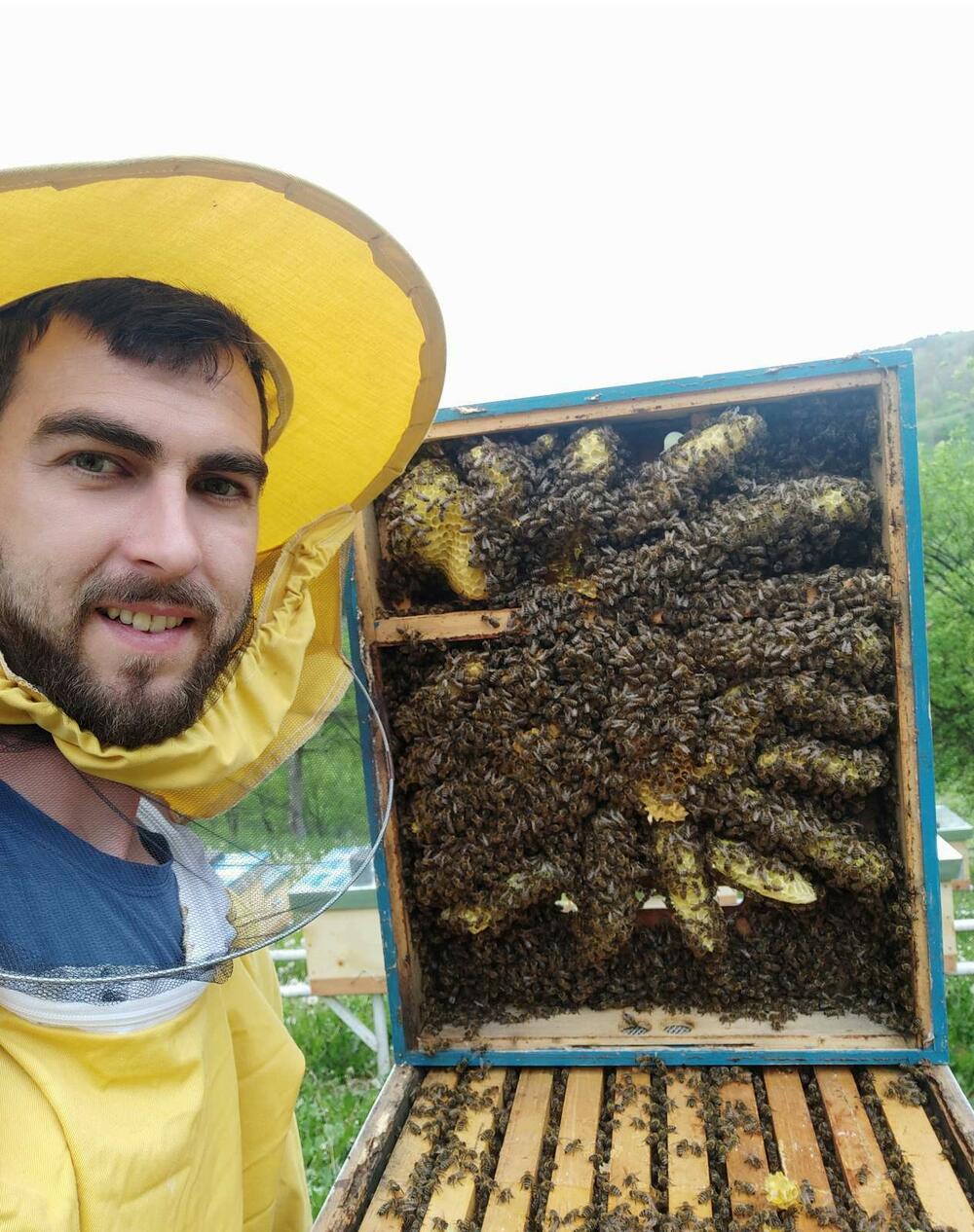 Važno je što prije početi pripremu pčelinjih zajednica za zimovanje, kaže Zečević