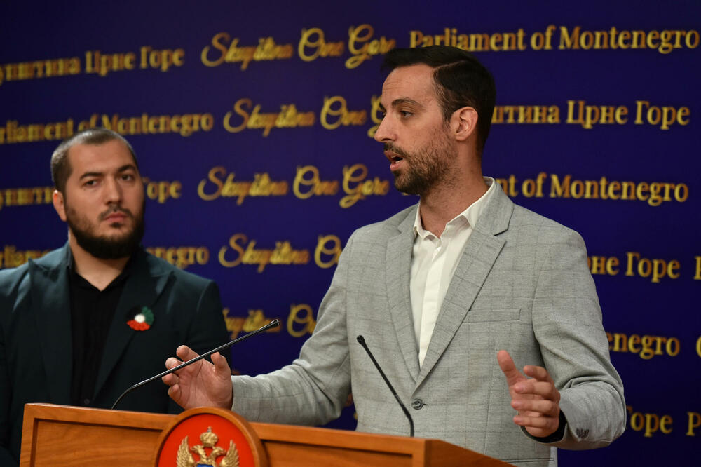 Zirojević na današnjoj press konferenciji, Foto: Boris Pejović