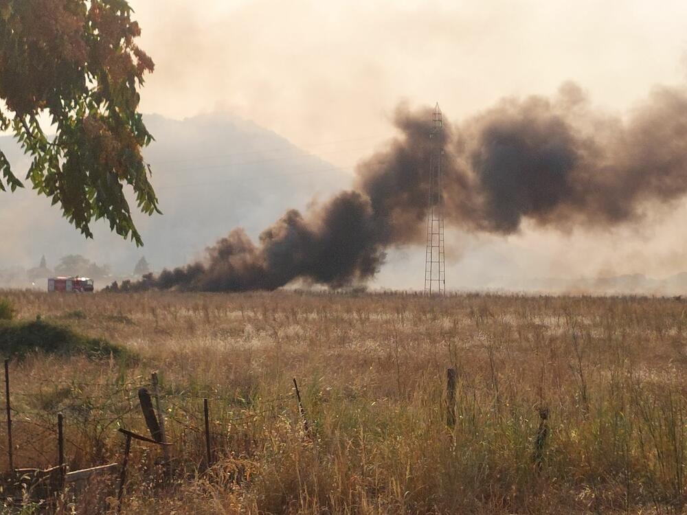 <p>Građani su izrazili zabrinutost zbog požara, a Blečić je kazao da je u pitanju neprohodan dio</p>