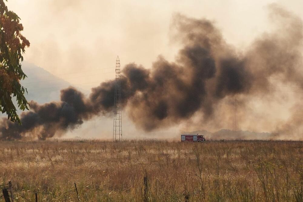 Požar na Sadinama, Foto: Kosta Bošković