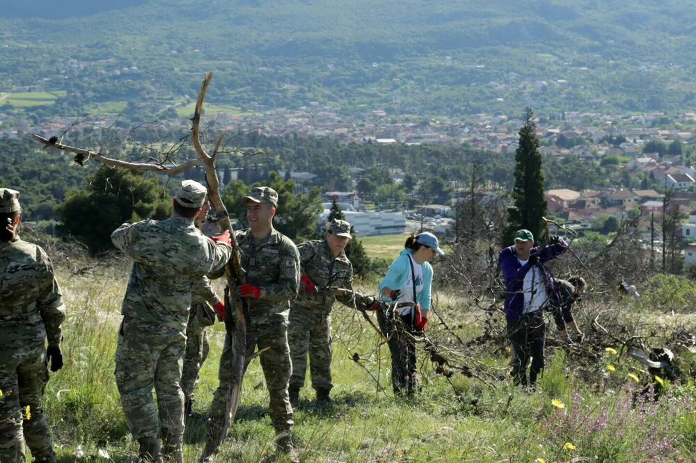 Tokom akcije ćišćenja na Gorici uklonjeno 12 kamiona biljnog otpada, Foto: Facebook