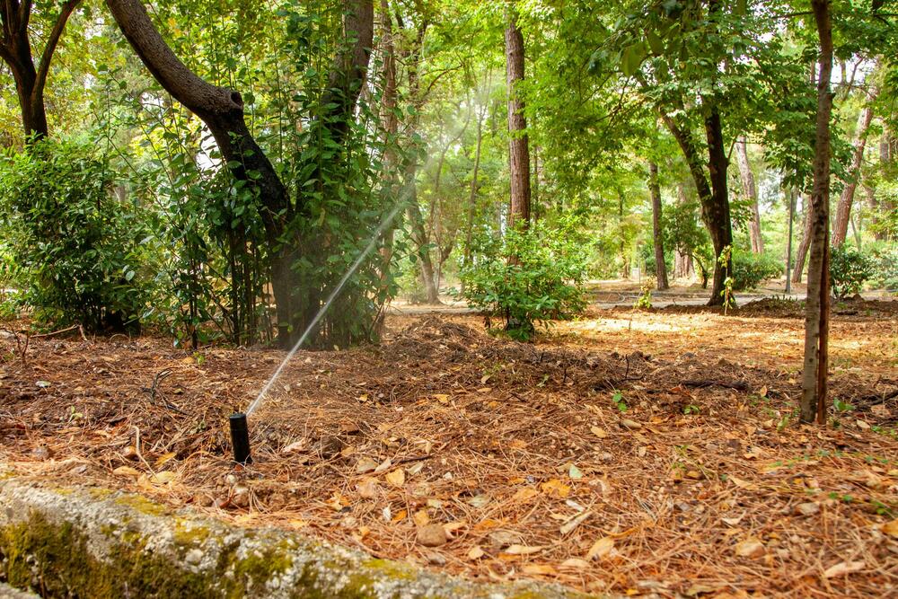 Veliki gradski park Tivat