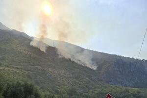 Budva: Vatrogasci cijelu noć gasili, požar se spustio do benzinske...