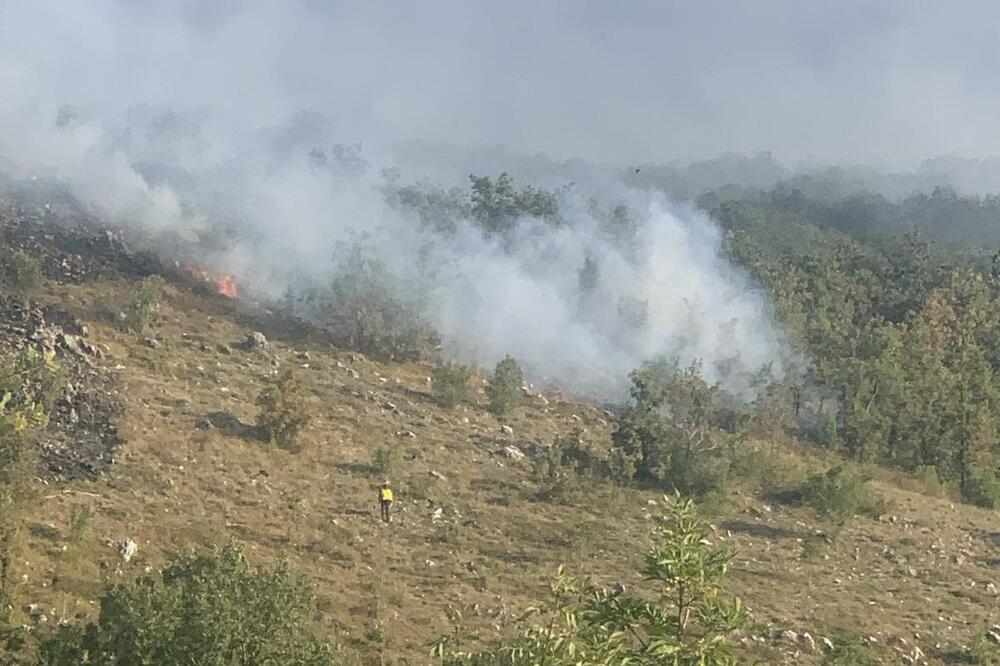 Juče na Paštrovskoj gori, Foto: Privatna arhiva