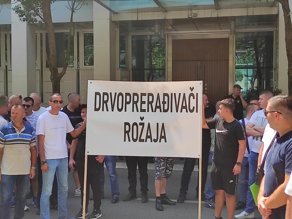 drvoprerađivači pred Vladom, protest drvopredađivača