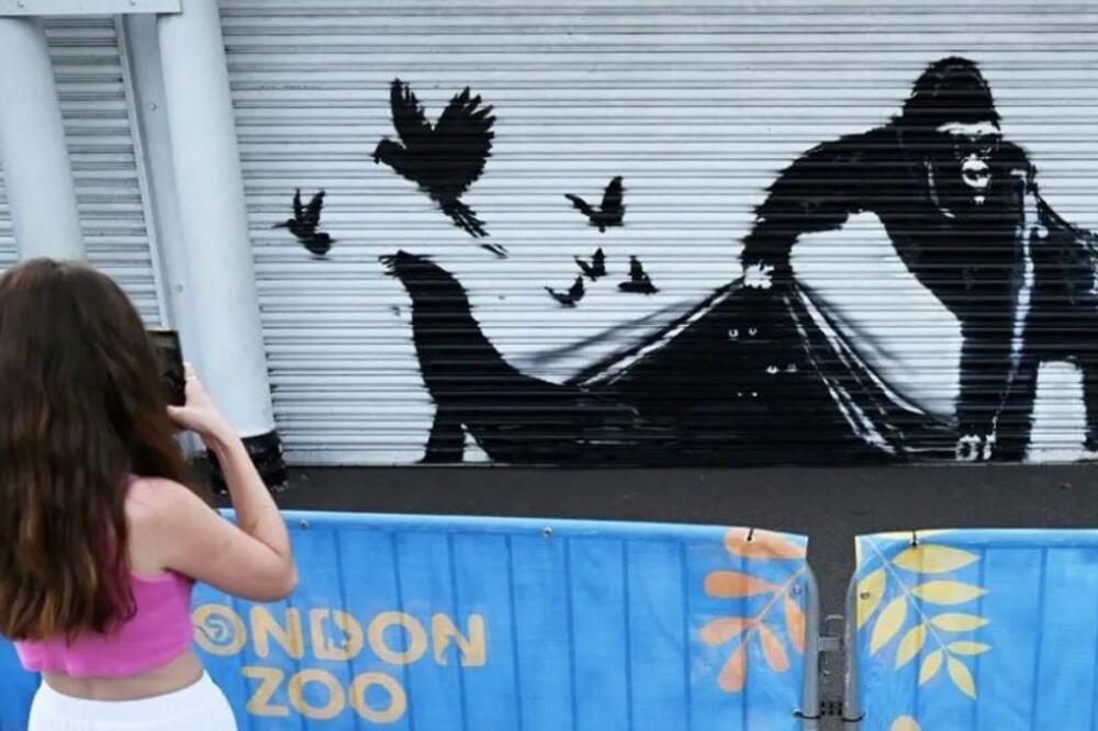 Mural gorile na gvozdenoj roletni londonskog zoološkog vrta deveto je Benksijevo djelo u životinjskoj seriji, Foto: Getty Images