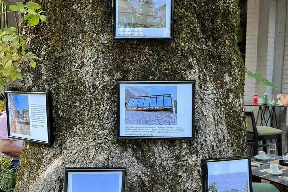 Dio izložbe u Kolašinu, Foto: Zeleni i Korifej