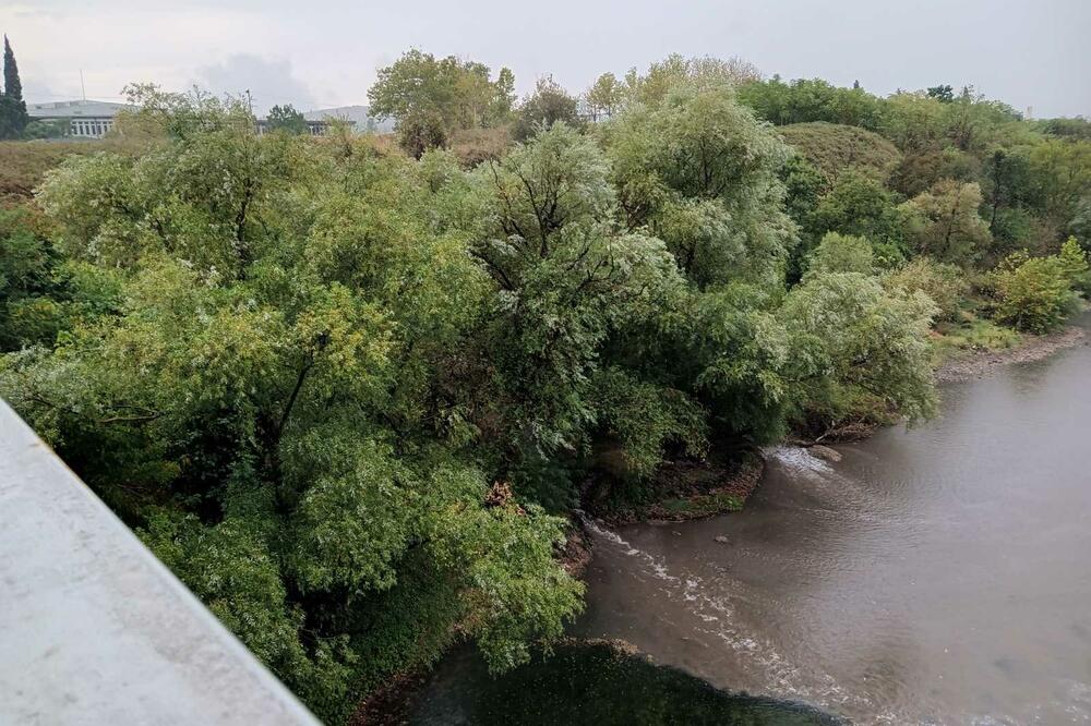 Izlivanje otpadnih voda ispod Krivog mosta, Foto: Privatna arhiva