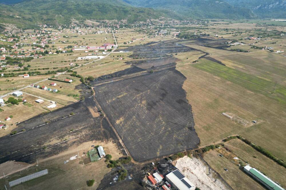 Površina zahvaćena požarom, Foto: Služba zaštite i spašavanja Nikšić