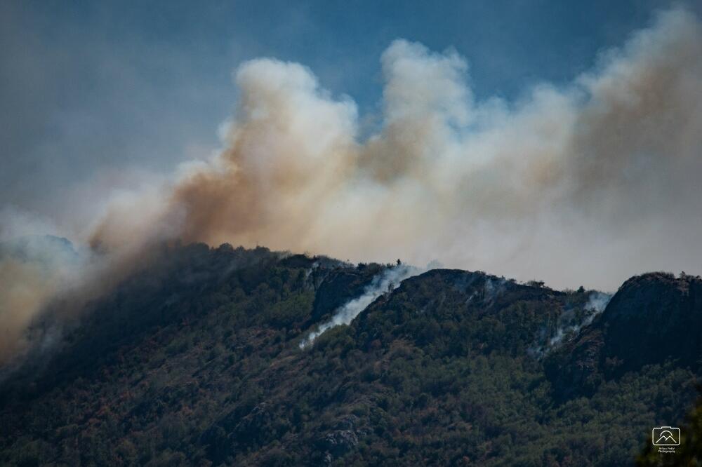 Požar na Vidliču, Foto: Milan Pešić