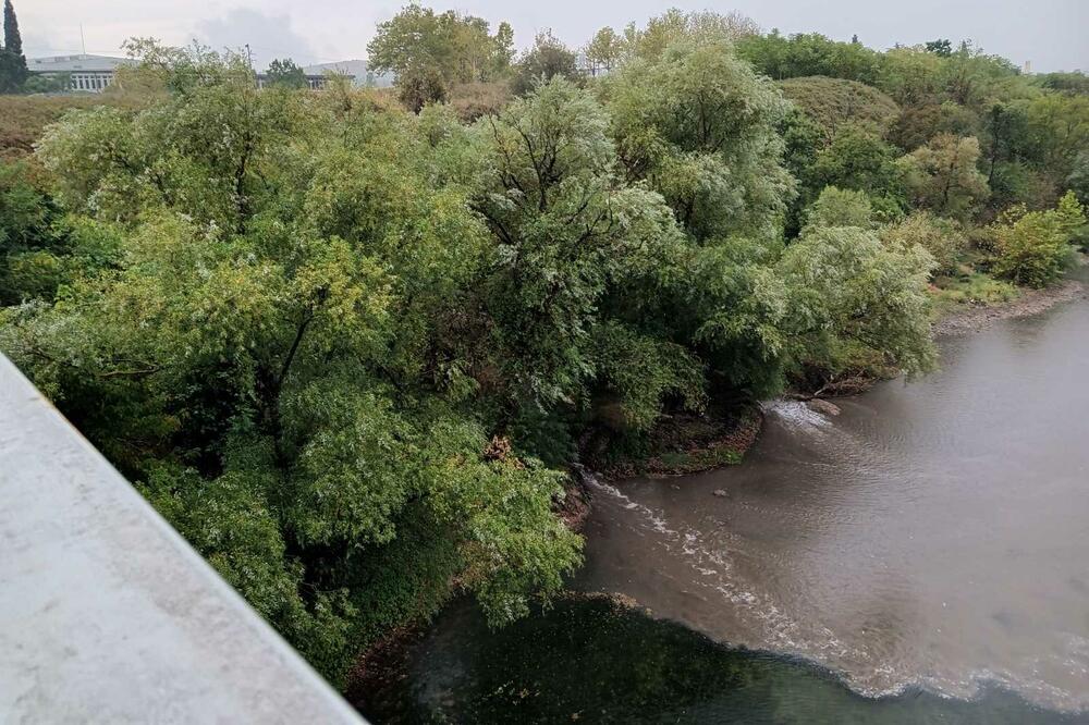 Sumnjiva materija izlila se u Moraču protekle sedmice, Foto: Privatna arhiva