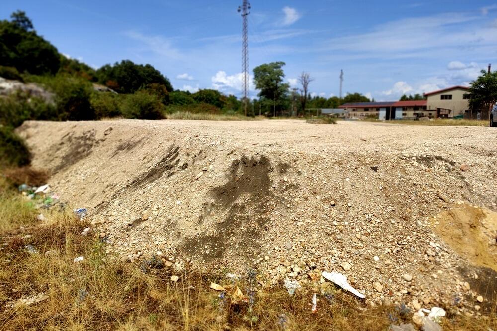 Dio grita ispod Trebjese, Foto: Svetlana Mandić