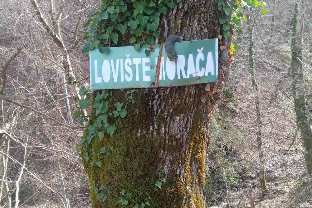 Detalj iz lovišta, Foto: Privatna arhiva