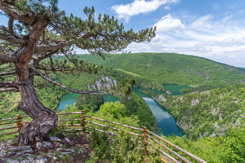 Meandri Ćehotine, Foto: Shutterstock