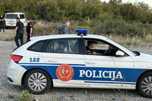 Vujačić uhapšen u policijskoj potjeri, uperio pištolj u policijske...