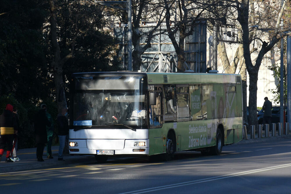 Alivodić pokrenuo više postupaka pred sudovima (ilustracija), Foto: BORIS PEJOVIC