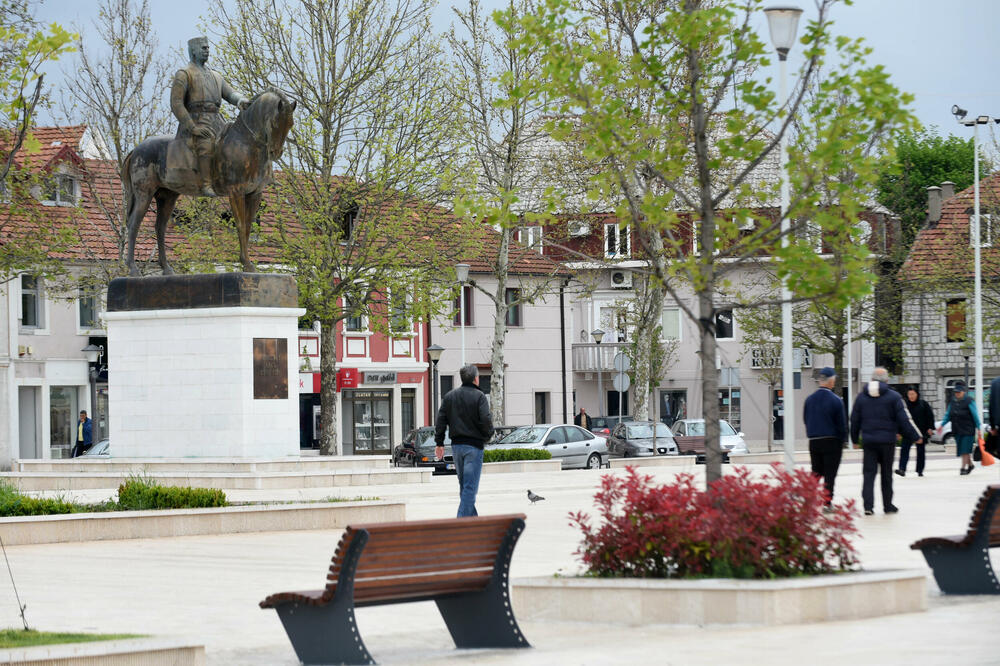 Za četiri godine isplaćeno oko 300.000 eura za ujede pasa, Foto: BORIS PEJOVIC