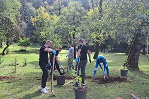 Pošumljavanje park šume Trebjesa: Posadili 134 sadnice smrče,...