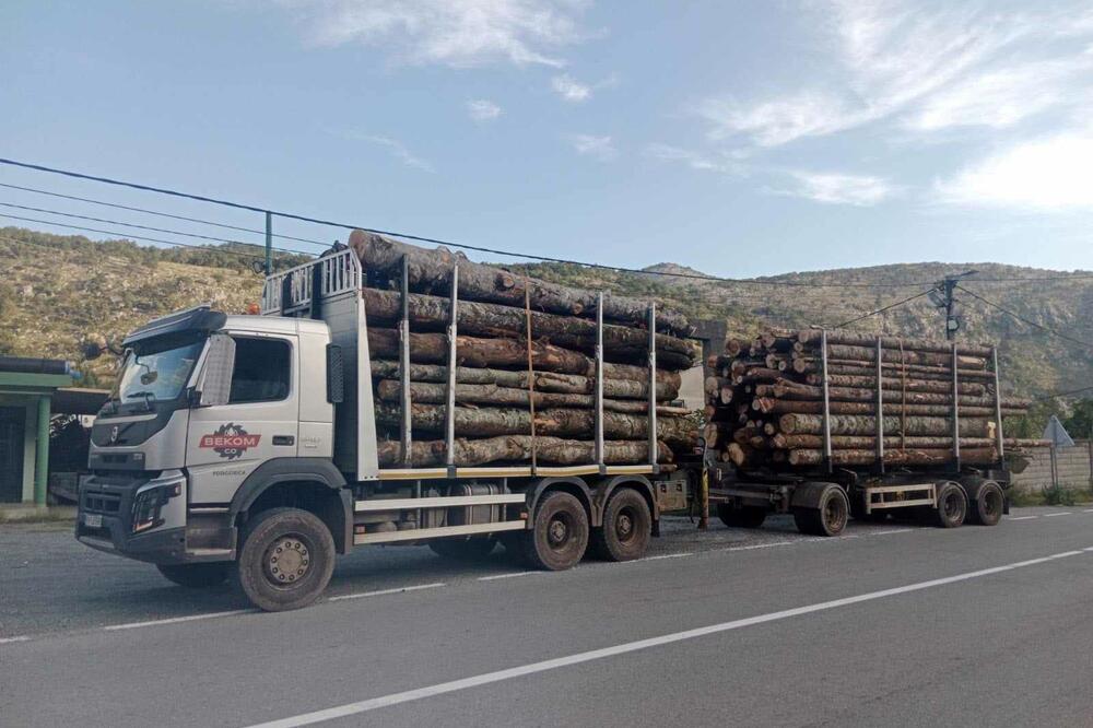 Zaplijenjeni rvni sortimenti na kamionu, Foto: Uprava za gazdovanje šumama i lovištima Crne Gore