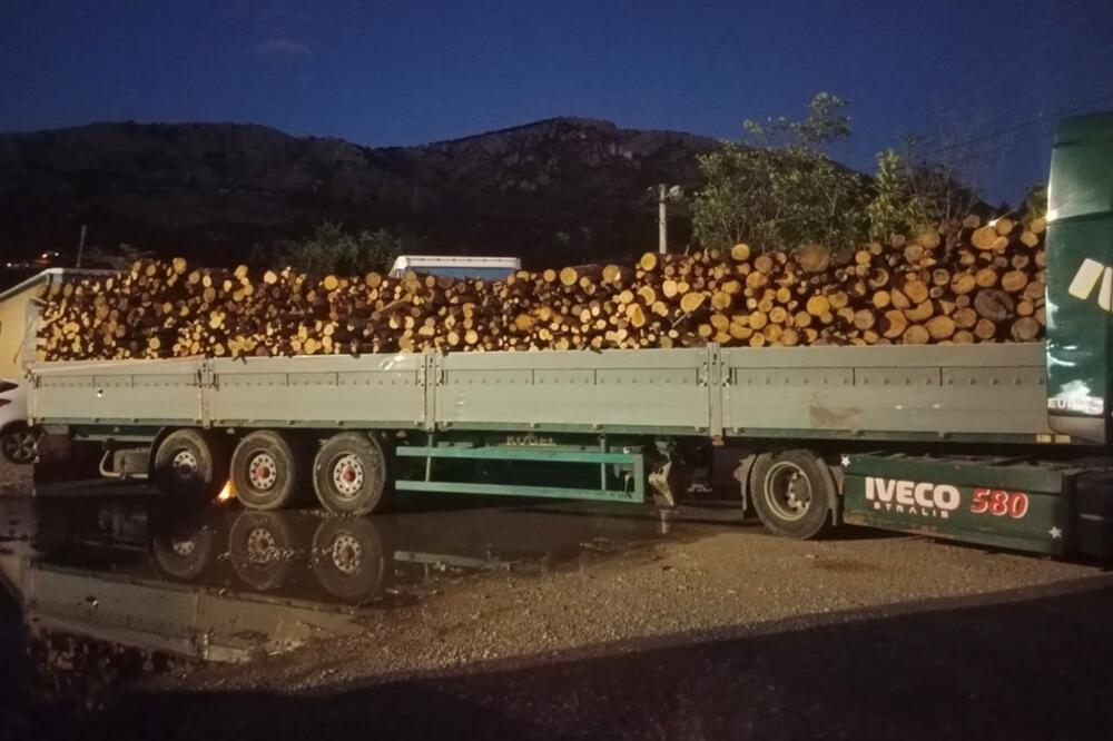 Foto: Uprava za gazdovanje šumama i lovištima