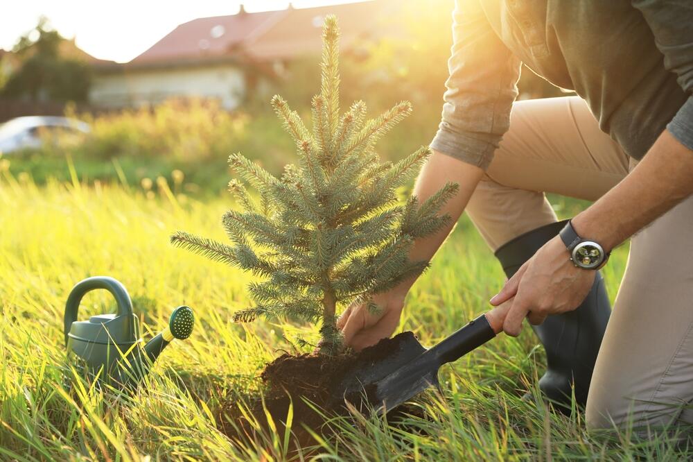 Ilustracija, Foto: Shutterstock