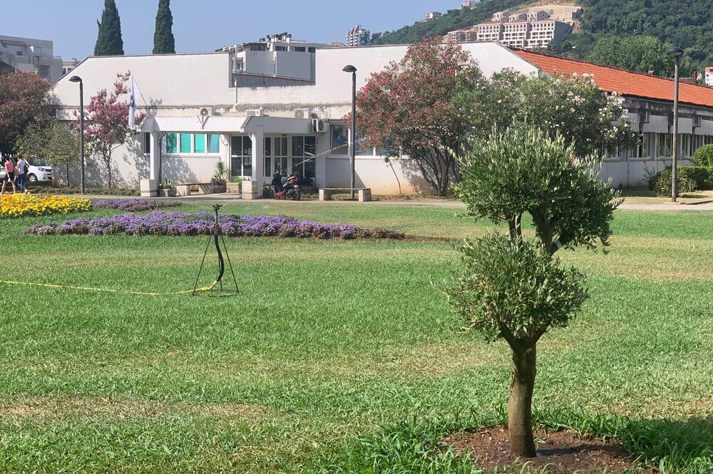 Zgrada Vodovoda u Budvi, Foto: Vuk Lajović