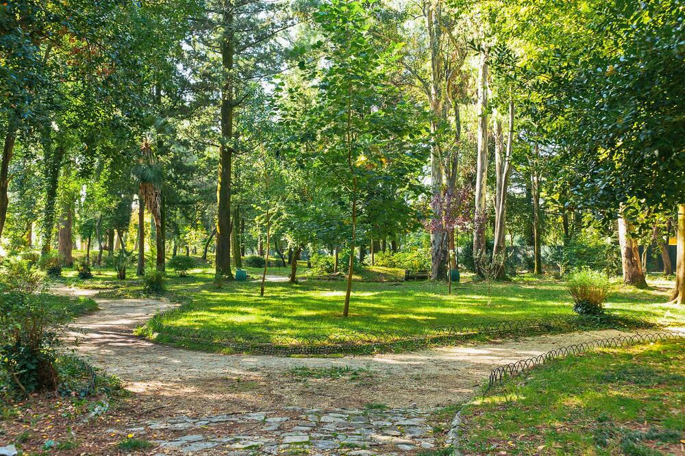 Detalj iz Velikog gradskog parka, Foto: Siniša Luković